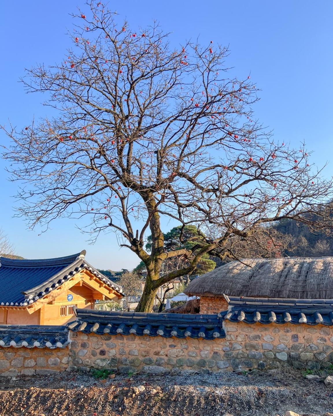 Jukheon Traditional House Andong Zewnętrze zdjęcie